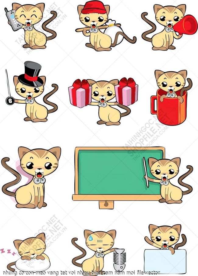 nhung co con meo vang tet voi nhieu bieu cam nam moi file vector